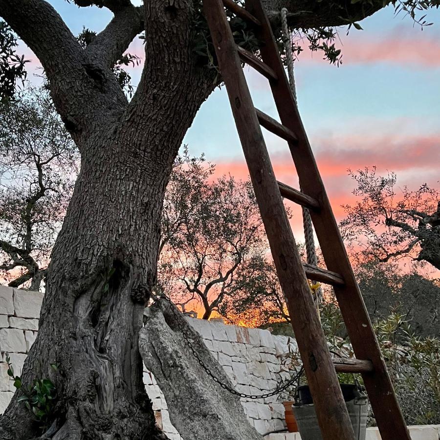Bed and Breakfast Quei Trulli Divini Martina Franca Exteriér fotografie